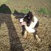 Lesley Vickers - Facebook