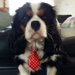 Lesley Walker - @lesley.walker.3532 - Instagram