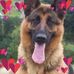 Lesley Walker - Facebook