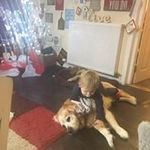 Lesley Walker - @lesley.walker.520 - Instagram
