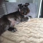 Lesley Walker - @lesleywalker7926 - Instagram