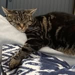 Lesley Wallace - @lesleywallace9927 - Instagram