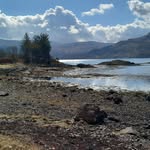Lesley Wallace - @lesley2968 - Instagram