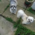 Lesley Wallace - @lesleywallace14 - Instagram