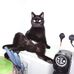 Lesley Warner - Facebook