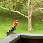 Lesley Weston - @wesmum - Instagram