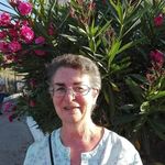 Lesley Weston - @dogased320 - Instagram