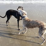 Lesley Weston - @grant.lesley.weston - Instagram