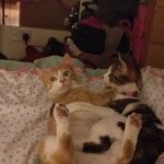 Lesley weston - @lellyboo39 - Instagram