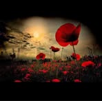Lesley Wright - Facebook