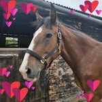 Lesley Yates - @lesley.yates.94 - Instagram