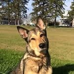 Leslie Abram - @abramleslie - Instagram
