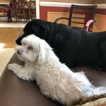 Leslie Abramson Landau Serlen - @leslieabramsonlandau - Instagram