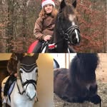 @_leslie_altmann_ - Instagram