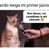 leslie aranda - @lesliearanda61 - TikTok