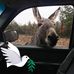 Leslie Barney - Facebook