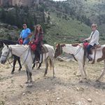 Leslie Bearden - @clcbearden - Instagram