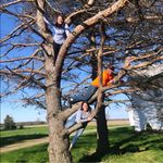 Leslie Benner Koons - @lesliebennerkoons - Instagram