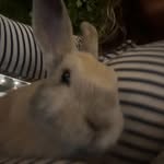 Leslie - @bertram_lesliee - Instagram