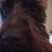 Leslie Bertucci - Facebook