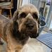 Lesley Pinwell - Facebook