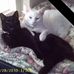 Leslie Blair - Facebook