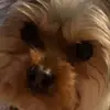 hi - @blank.leslie - TikTok