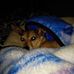 Leslie Blanks - Facebook