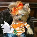Leslie Bonnette - @bonnette.leslie - Instagram