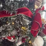 Leslie Ambler Bottigoni - @lesliebottigoni - Instagram