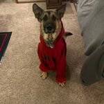 Leslie Kann Bott - @ohyesikann - Instagram