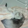 lesliebowling895 - @lesliebowling895 - TikTok