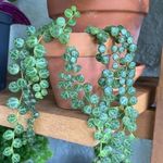 Leslie Brady - @brady0576 - Instagram