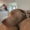 Leslie Brady - @leslie.brady8 - TikTok