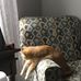 Leslie Breeding - Facebook