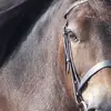 lesleybunker - @lesleybunker - TikTok