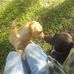 Les Bryson - Facebook