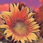 Leslie Buchanan - Facebook