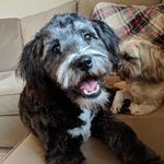 Leslie Buck - @lesliebuck47 - Instagram