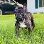 Leslie Buck - @bigbam37 - Instagram