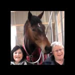 Leslie Buckley Mrs B - @buckley_mrs_b - Instagram