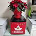 Leslie Buckman - Facebook