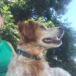 Leslie - @leslie.burtin49 - Instagram