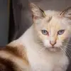 leslieburtonufr - @leslieburtonufr - TikTok