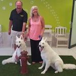 Leslie Mark Busse - @busseleslie - Instagram