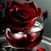 Luceli Canche - Facebook