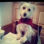 Leslie Carmichael - @leslie.b.carmichael - Instagram