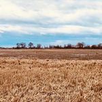 Leslie Carmichael - @sundays_at_the_marsh - Instagram