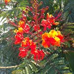 Leslie Carmichael - @leslie.carmichael - Instagram
