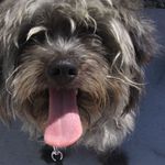Leslie Caton - @leslie.caton.144 - Instagram